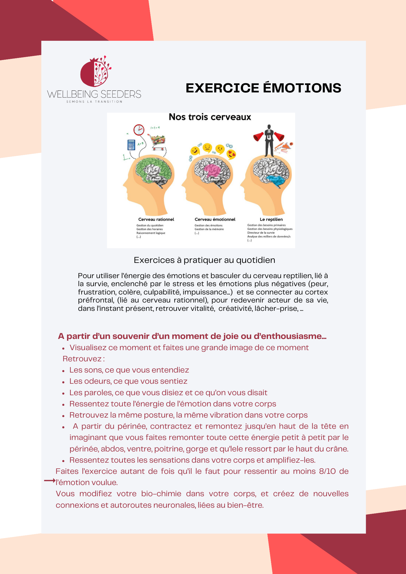 WBS Exercice émotions